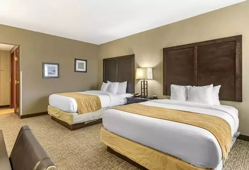 Отель Comfort Inn & Suites Allen Park  Dearborn