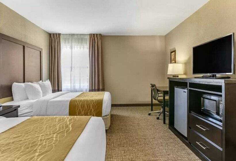 ホテル Comfort Inn & Suites Allen Park Dearborn