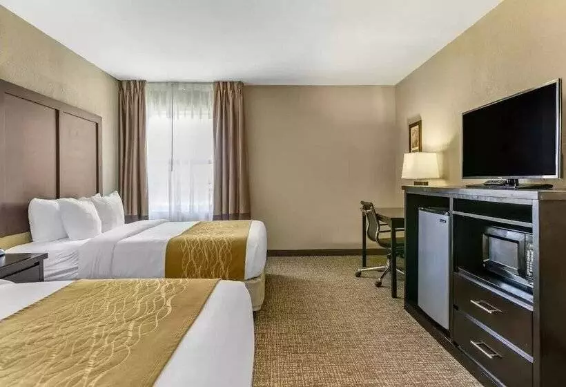 Отель Comfort Inn & Suites Allen Park  Dearborn