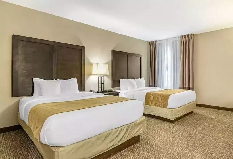 Отель Comfort Inn & Suites Allen Park  Dearborn