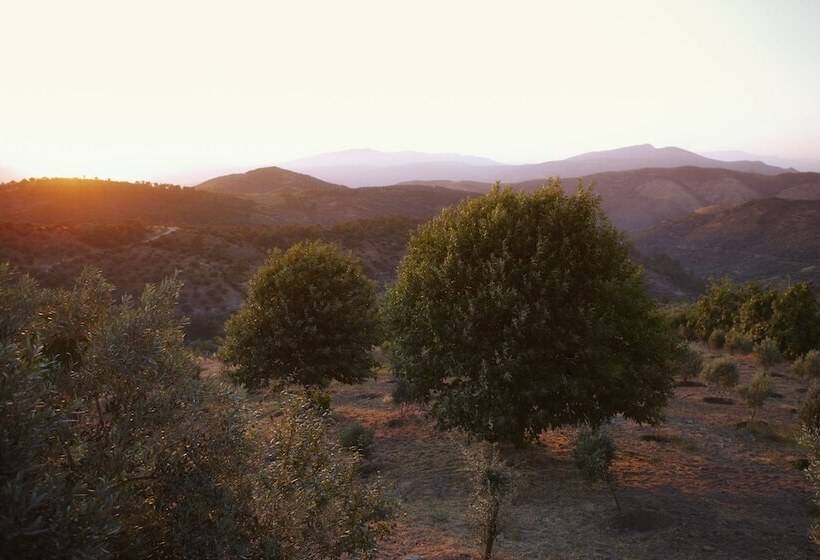 هتل Gullu Konaklari