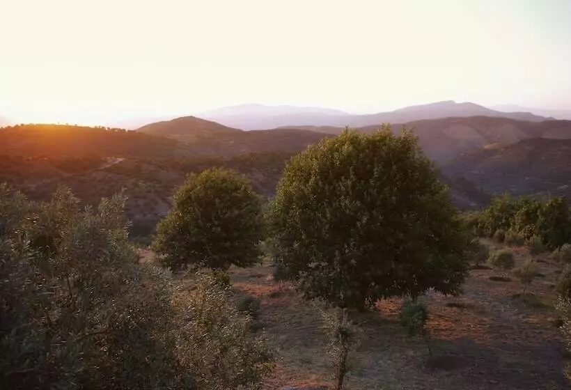 בית מלון כפרי Gullu Konaklari