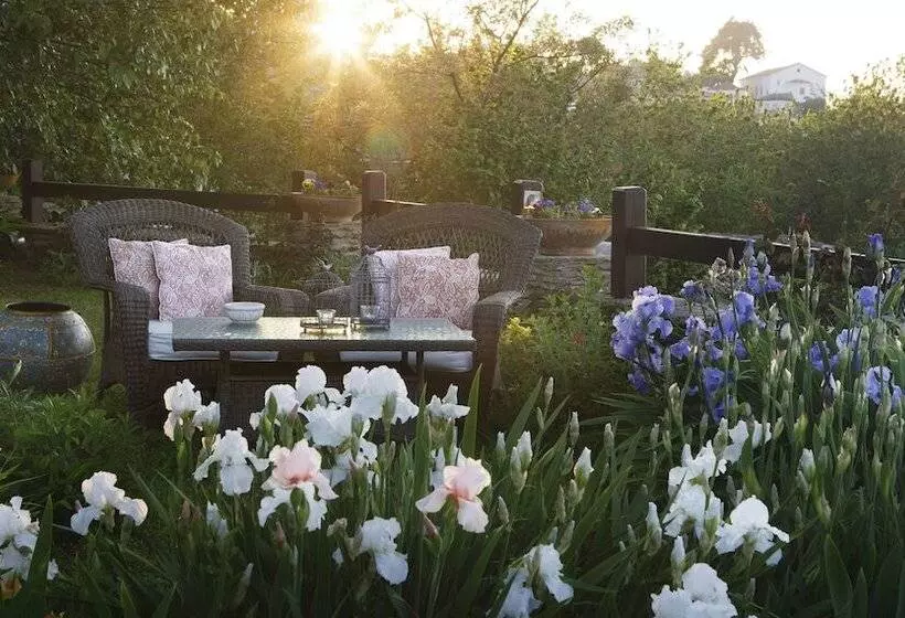 בית מלון כפרי Gullu Konaklari