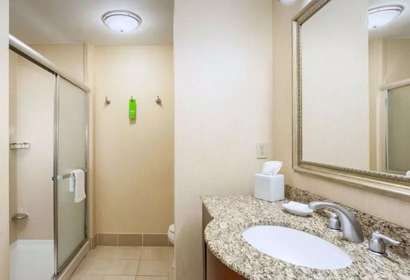 ホテル Hampton Inn & Suites Las Vegas Red Rock/summerlin