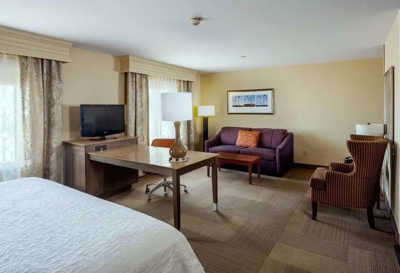 ホテル Hampton Inn & Suites Las Vegas Red Rock/summerlin