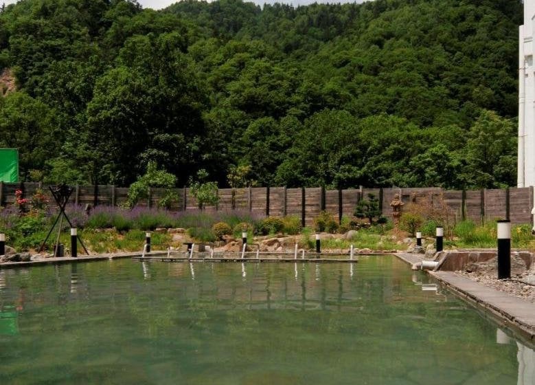 ריוקאן Jozankei Grand Hotel Zuien