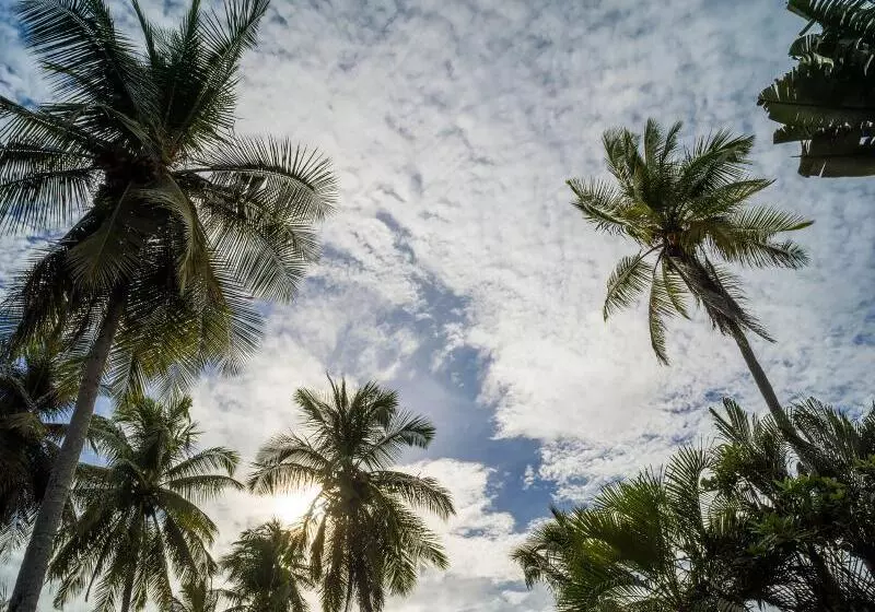 호텔 Monterey Del Mar