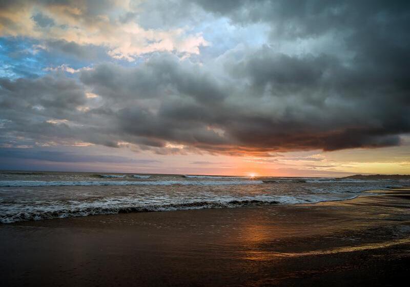 호텔 Monterey Del Mar