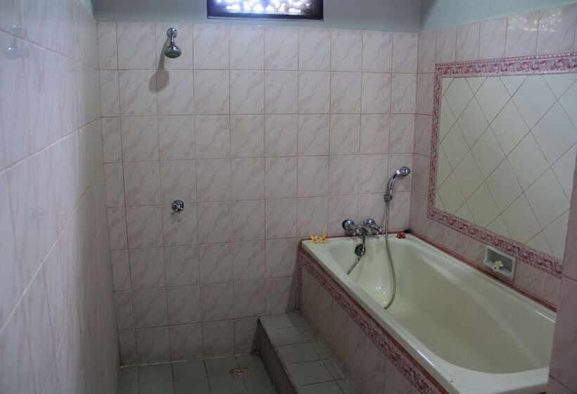 בית מלון כפרי Stana Puri Gopa