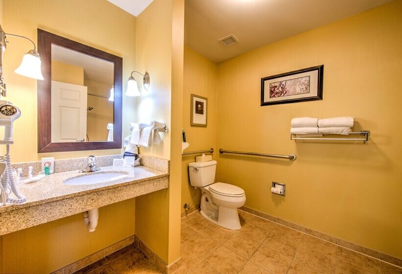 בית מלון כפרי Comfort Suites Urbana Champaign, University Area