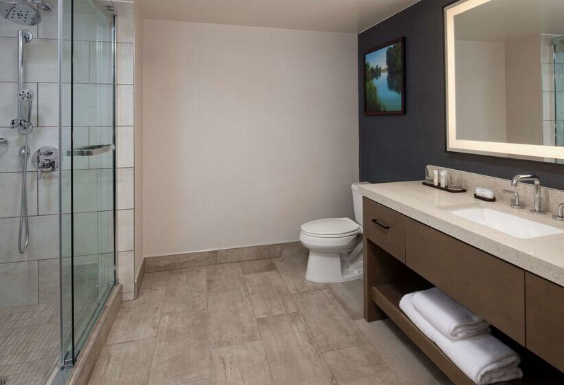 בית מלון כפרי Embassy Suites By Hilton Sacramento Riverfront Promenade