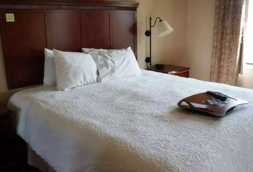 هتل Hampton Inn & Suites Kingman