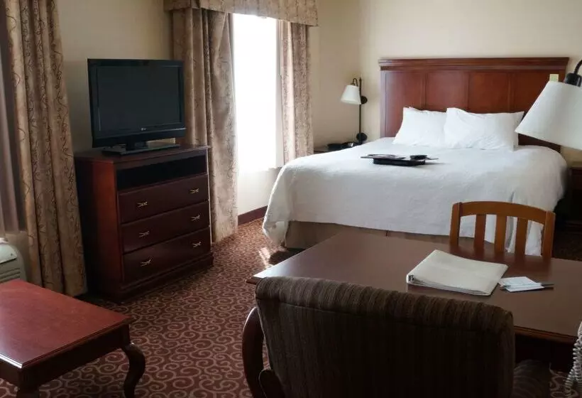 هتل Hampton Inn & Suites Kingman