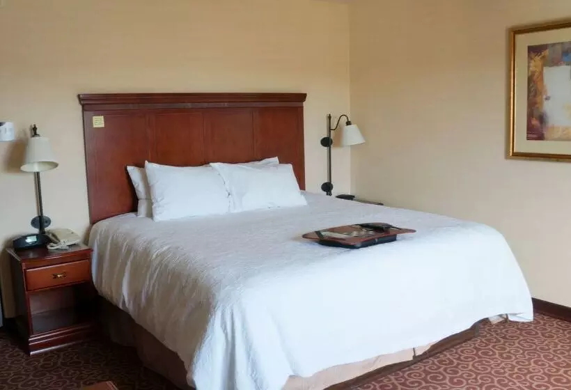 هتل Hampton Inn & Suites Kingman