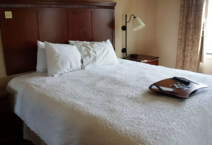 هتل Hampton Inn & Suites Kingman