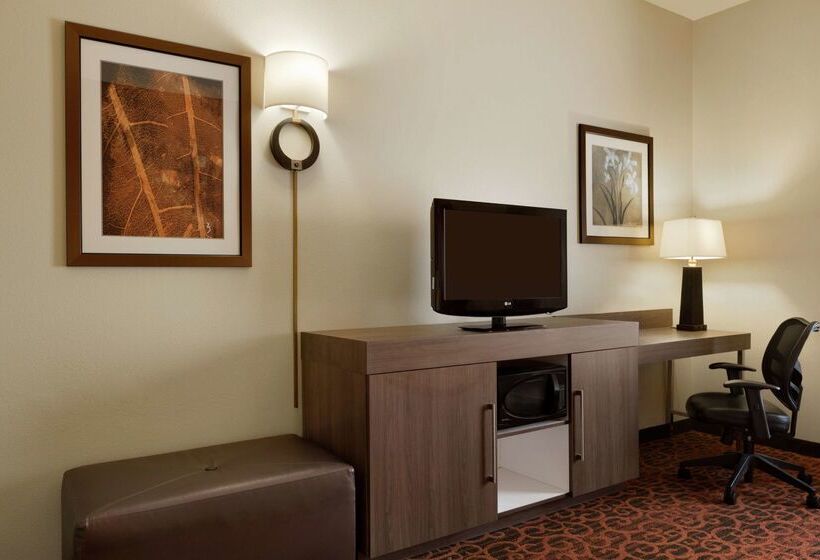 호텔 Hampton Inn Wichita Fallssikes Senter Mall