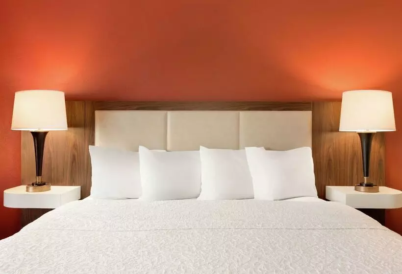 酒店 Hampton Inn Wichita Fallssikes Senter Mall