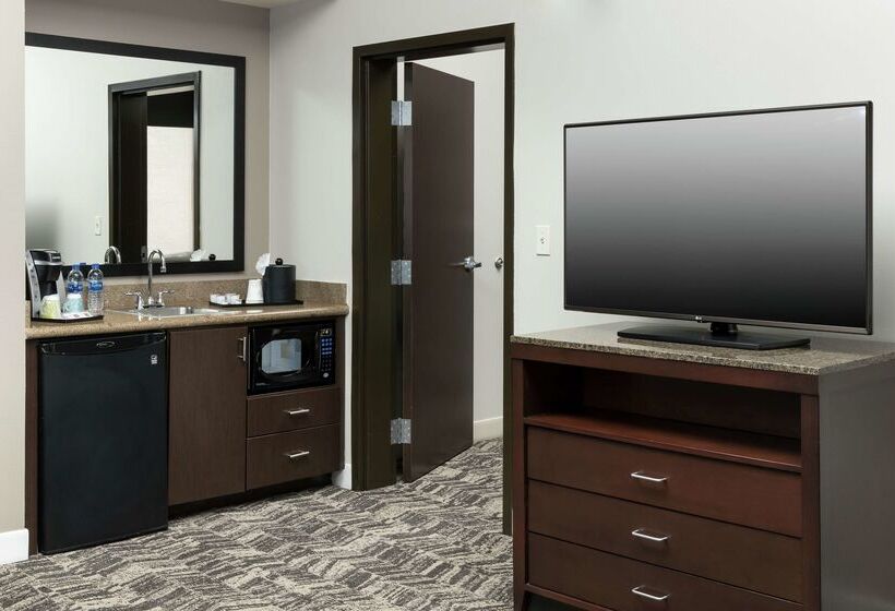 فندق Hilton Garden Inn Dfw North Grapevine