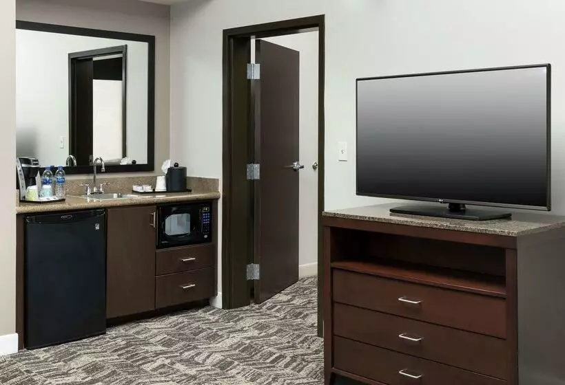 Отель Hilton Garden Inn Dfw North Grapevine