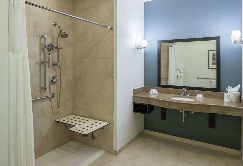 فندق Hilton Garden Inn Dfw North Grapevine