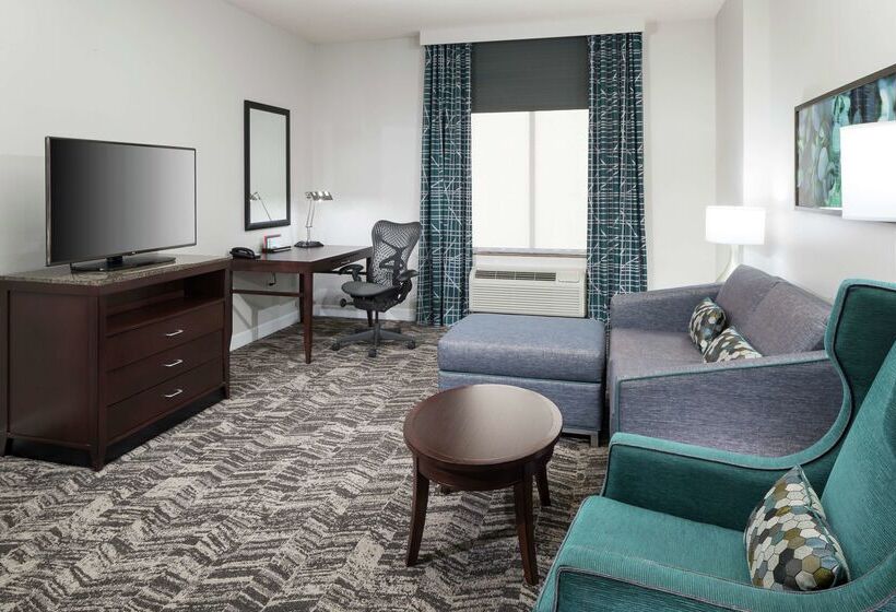 فندق Hilton Garden Inn Dfw North Grapevine