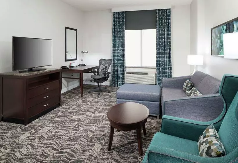 Отель Hilton Garden Inn Dfw North Grapevine
