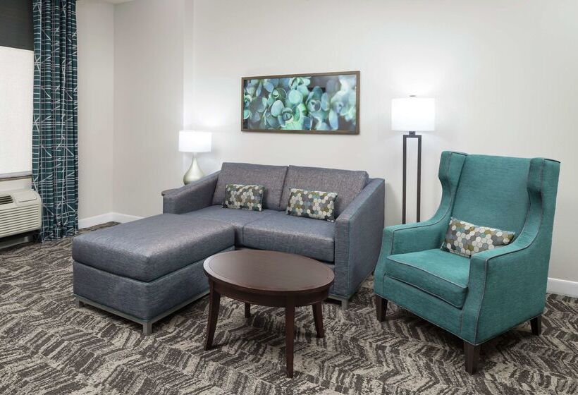 فندق Hilton Garden Inn Dfw North Grapevine