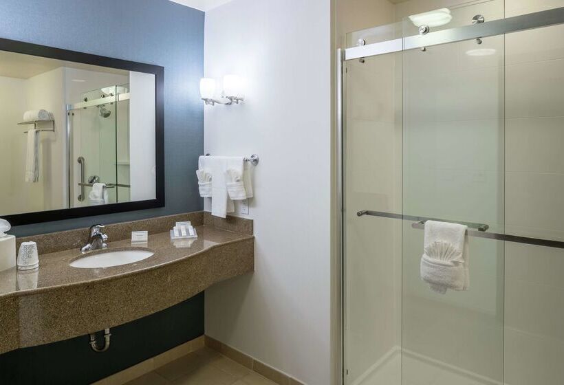 فندق Hilton Garden Inn Dfw North Grapevine
