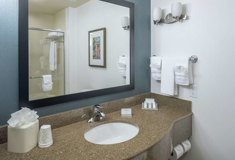 فندق Hilton Garden Inn Dfw North Grapevine