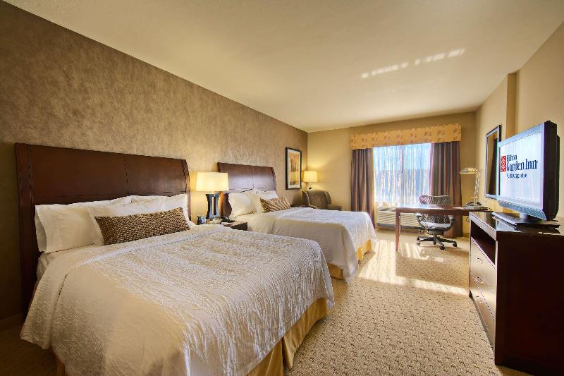 فندق Hilton Garden Inn Dfw North Grapevine