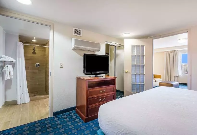 هتل Hilton Garden Inn Suffolk Riverfront