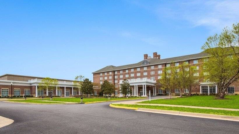 فندق Hilton Garden Inn Suffolk Riverfront