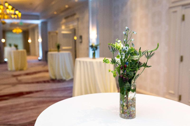 فندق Hilton Garden Inn Suffolk Riverfront