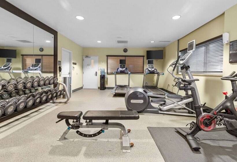 فندق Hilton Garden Inn Syracuse