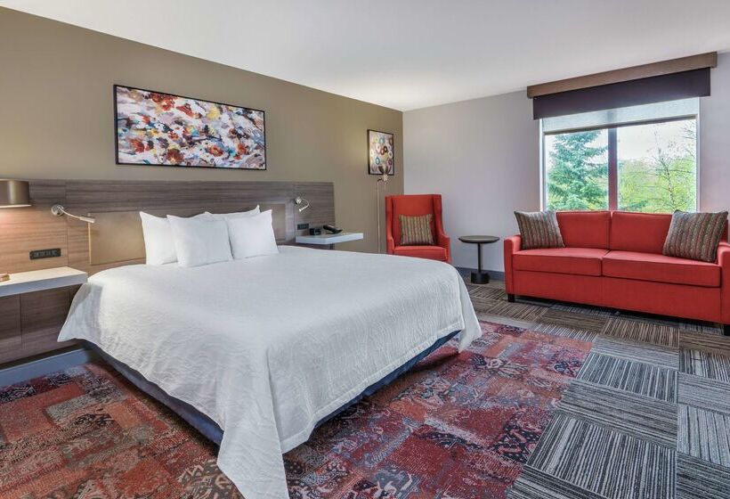فندق Hilton Garden Inn Syracuse