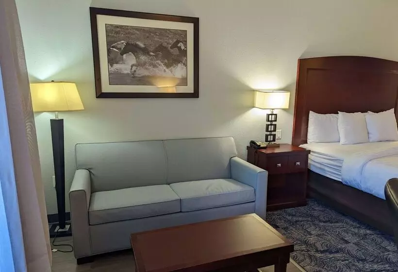 酒店 La Quinta By Wyndham Fort Worth Ne Mall