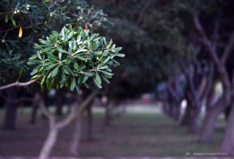 فندق ريفى Agriturismo La Maddalena