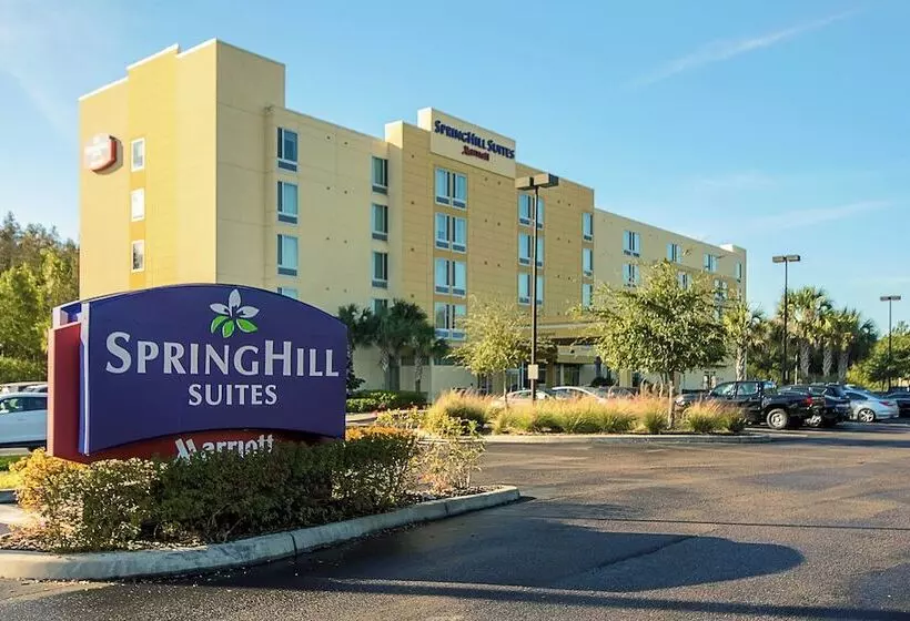 هتل Springhill Suites Tampa North/tampa Palms