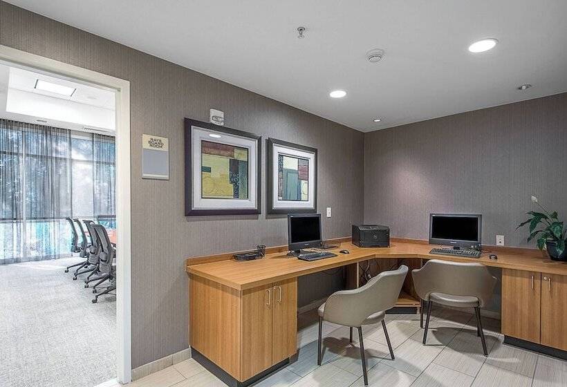 ホテル Springhill Suites Tampa North/tampa Palms