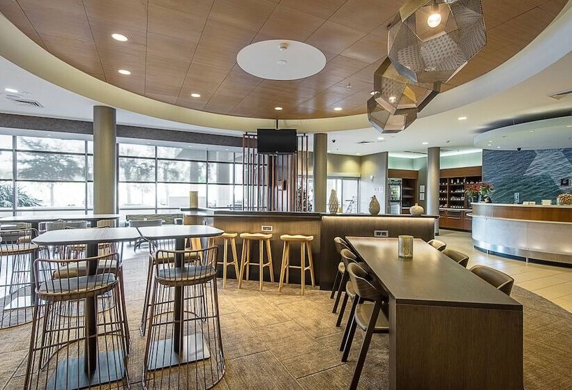 ホテル Springhill Suites Tampa North/tampa Palms
