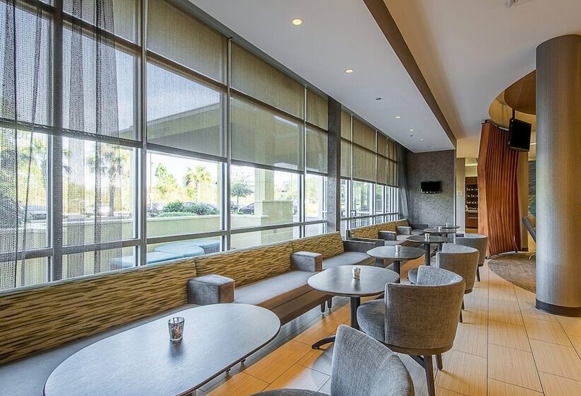 ホテル Springhill Suites Tampa North/tampa Palms