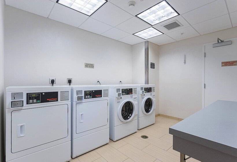 ホテル Springhill Suites Tampa North/tampa Palms