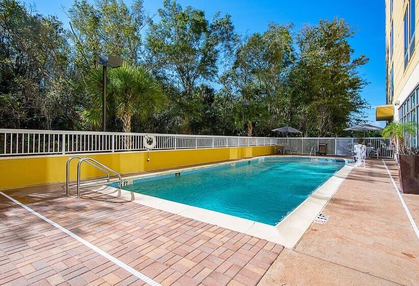 ホテル Springhill Suites Tampa North/tampa Palms