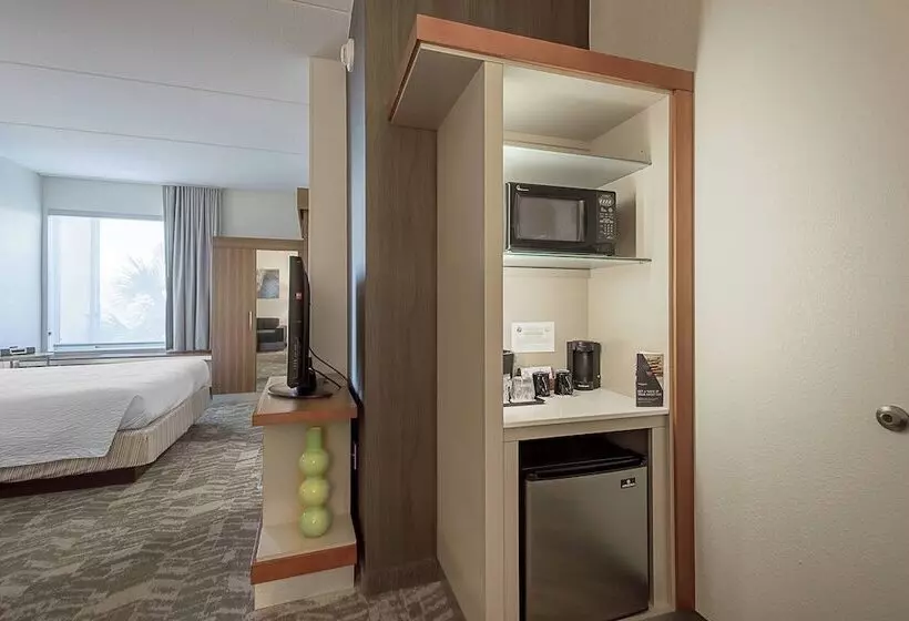 هتل Springhill Suites Tampa North/tampa Palms