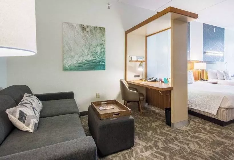 هتل Springhill Suites Tampa North/tampa Palms