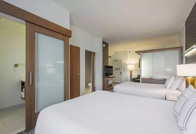 هتل Springhill Suites Tampa North/tampa Palms