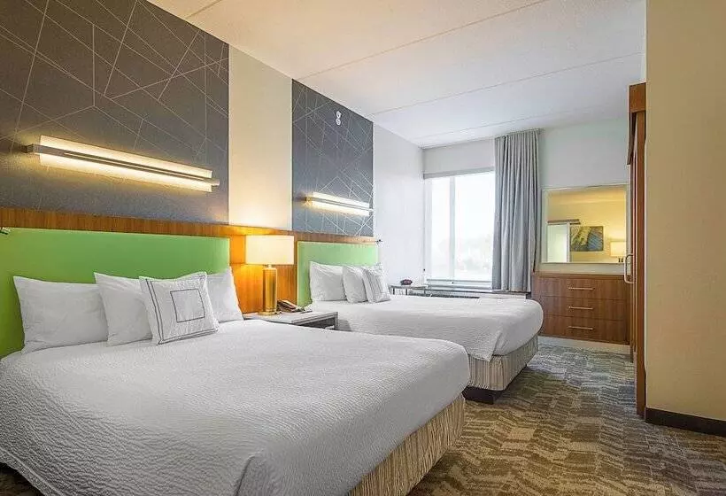 هتل Springhill Suites Tampa North/tampa Palms