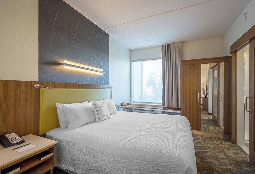 ホテル Springhill Suites Tampa North/tampa Palms