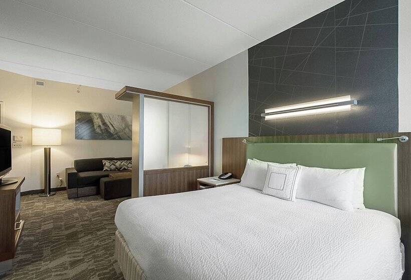 ホテル Springhill Suites Tampa North/tampa Palms