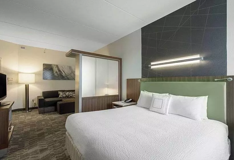 هتل Springhill Suites Tampa North/tampa Palms